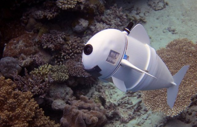 Учени създадоха риба-робот за подводни изследвания (ВИДЕО)