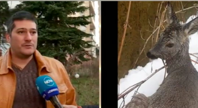 Това е спасителят на сърничката в София, който разтопи цяла България с постъпката си (СНИМКА)