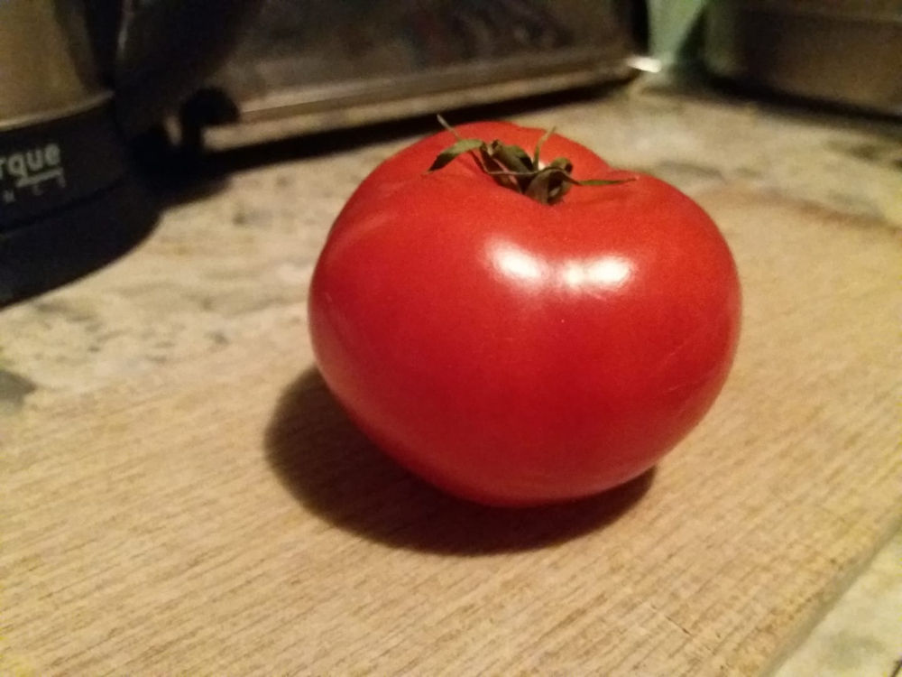 Биляна си купи от хипермаркет домат, кръсти го Стамат и след 2 месеца в хладилника... (СНИМКИ)