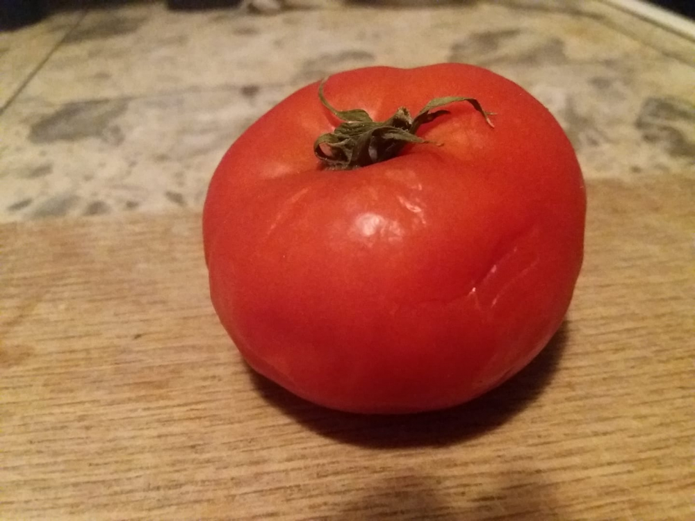 Биляна си купи от хипермаркет домат, кръсти го Стамат и след 2 месеца в хладилника... (СНИМКИ)