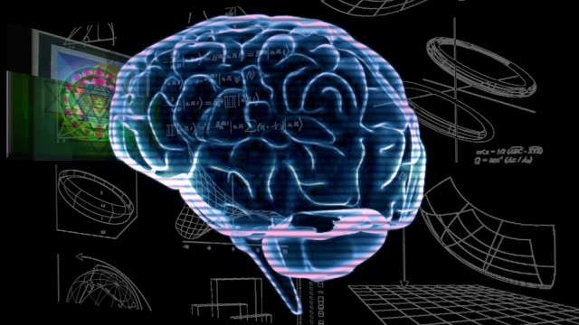 Учени с важно откритие за човешкия мозък 