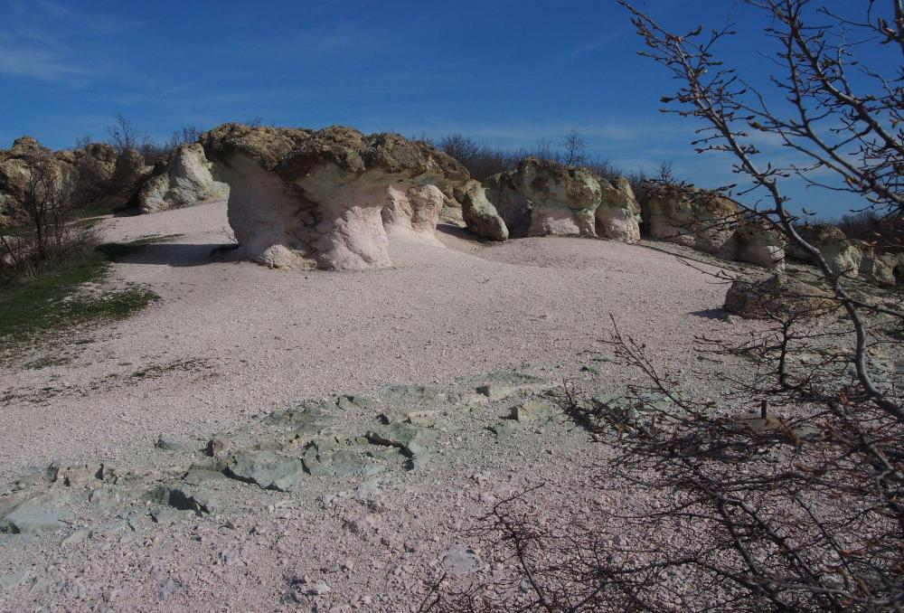 Мистичната легенда за каменните гъби край село Бели пласт (СНИМКИ)