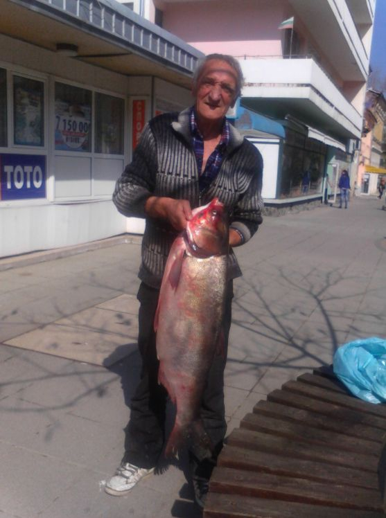 Рибар извади истинско чудовище от Дунав (СНИМКИ)