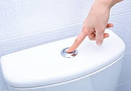 Това е правилният начин за пускане на водата в тоалетната, ще ви спести големи главоболия