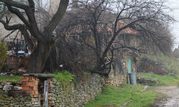 Плачевна гледка: Роми превзеха села в Северозапада, българските западат пагубно