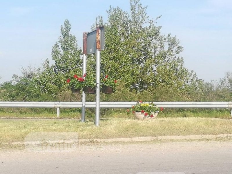 Мистериозен любител на цветята кара табелите по магистрала "Тракия" да цъфтят (СНИМКИ)