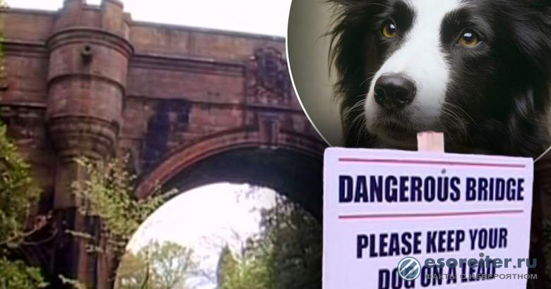 Тайнствен мост в Шотландия кара кучета да се самоубиват, скачайки от него (ВИДЕО/СНИМКИ)