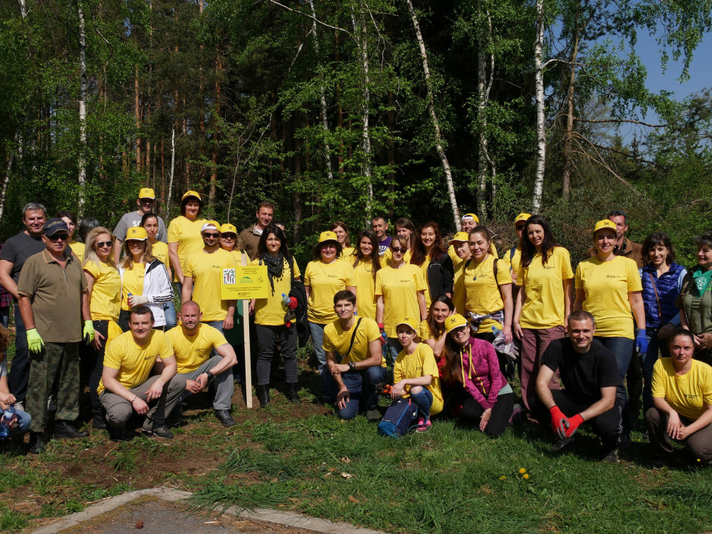 Доброволци от Райфайзенбанк засадиха 400 дръвчета на Витоша (СНИМКИ)