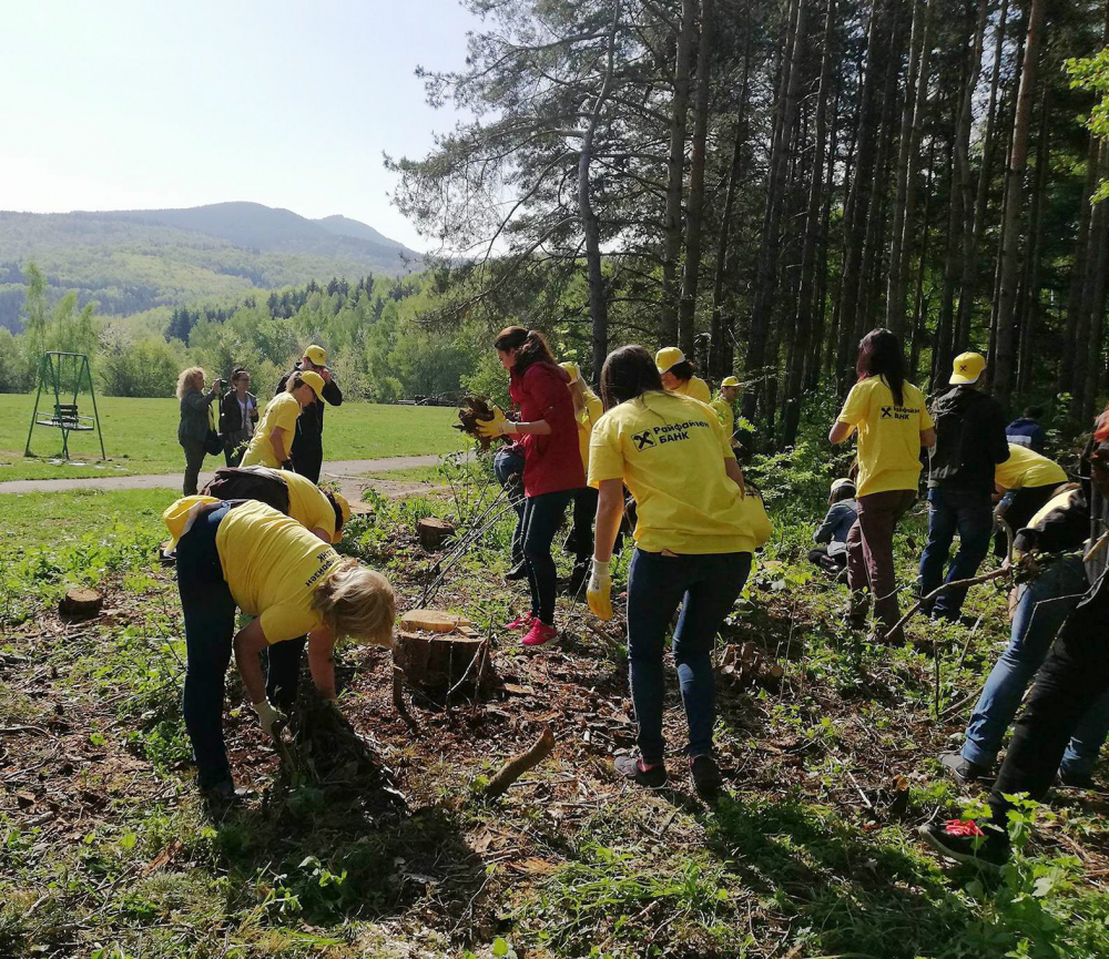 Доброволци от Райфайзенбанк засадиха 400 дръвчета на Витоша (СНИМКИ)
