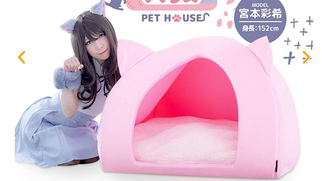Котешки къщички за хора продават в Япония