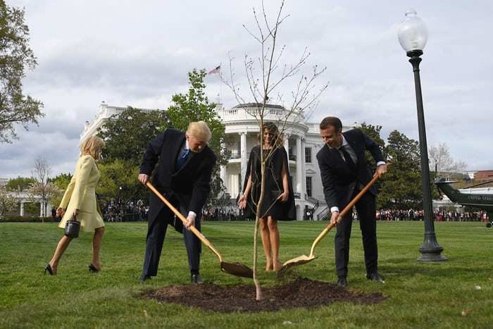 Daily Mail сензационно: Изчезна дръвчето, посадено от Тръмп и Макрон на поляната пред Белия дом (СНИМКИ/ВИДЕО)