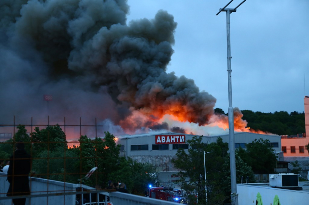 Собственичката на "Аванти" със сензационни новини за огромния пожар! Щетите са за милиони евро (ВИДЕО)