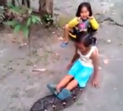 ВИДЕО с две малки момиченца, които се возят на гигантски питон, взриви интернет 