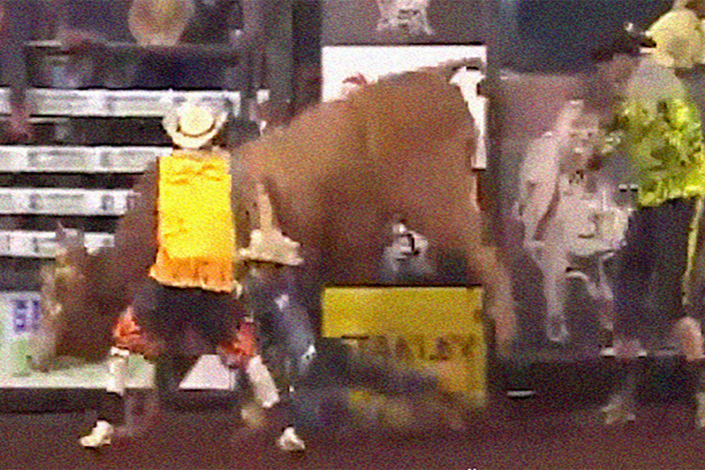 Разярен бик помете и стъпка смъртоносно шампион по родео (СНИМКИ/ВИДЕО 18+) 