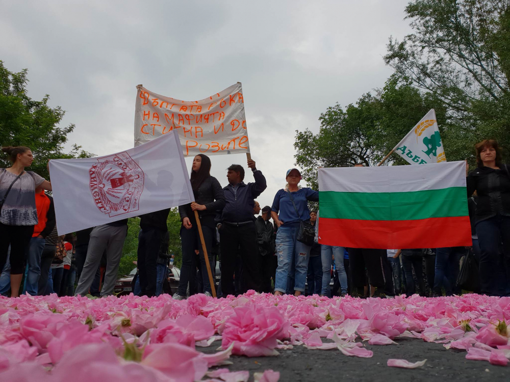 Огромен бунт и блокада на пътища в Карловско, страшно е! (СНИМКИ)