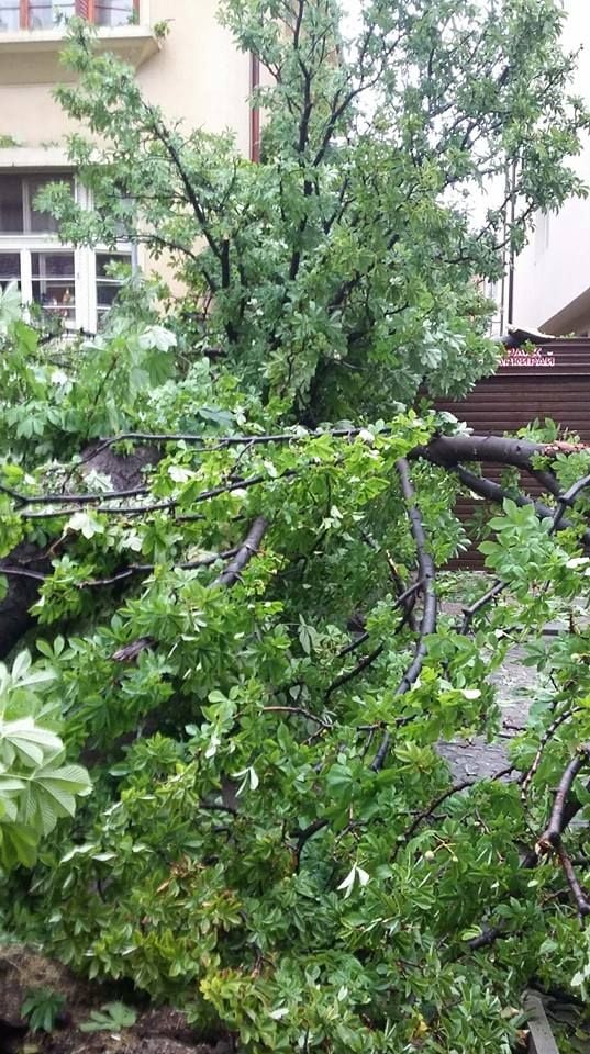 Ето каква е ситуацията в Пловдив след мощната буря (СНИМКИ)