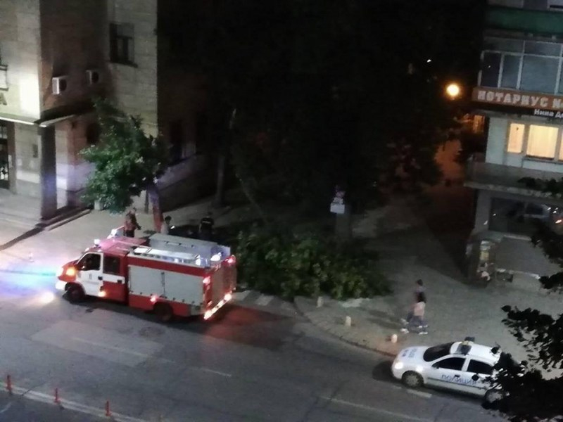 Страшен инцидент в центъра на Пловдив (СНИМКА)