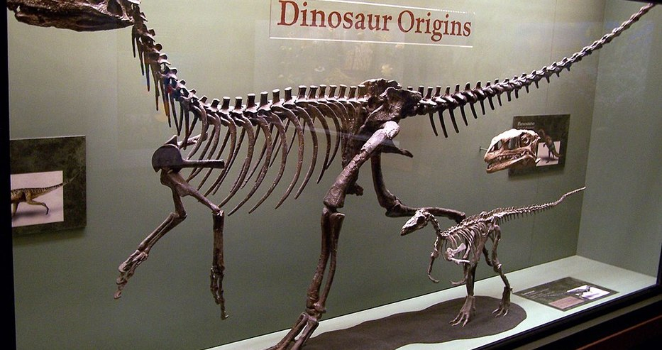Скелет на динозавър на търг в Париж