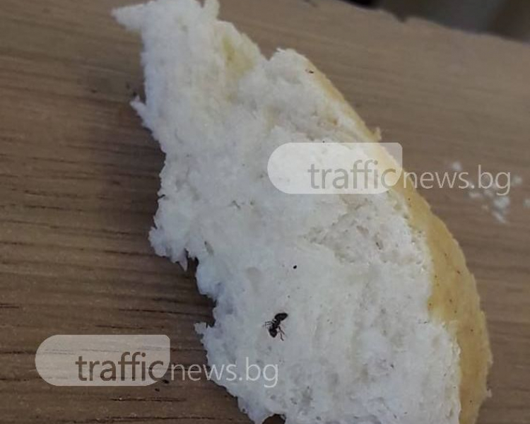 Отвратителна находка! Пловдивчанка си купи хлебче, но като го разчупи и онемя (СНИМКИ)