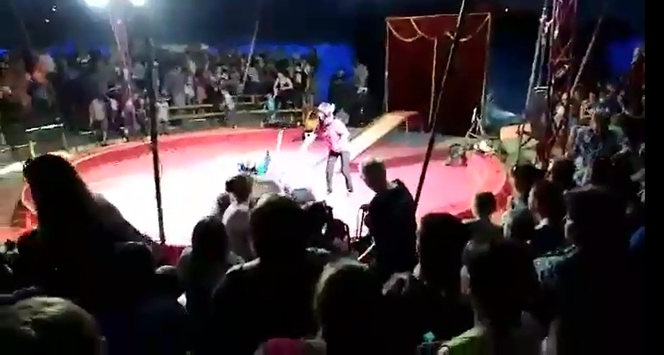 Мечка нападна дресьора си по време на представление в цирка пред очите на ужасените деца и родители (ВИДЕО 18+)