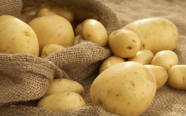 Учени установиха скандална истина за картофите, които всички ядем