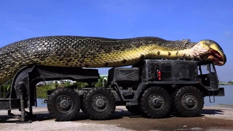Титанобоа: Мистериозната морска змия, тежаща повече от тон (СНИМКИ/ВИДЕО)