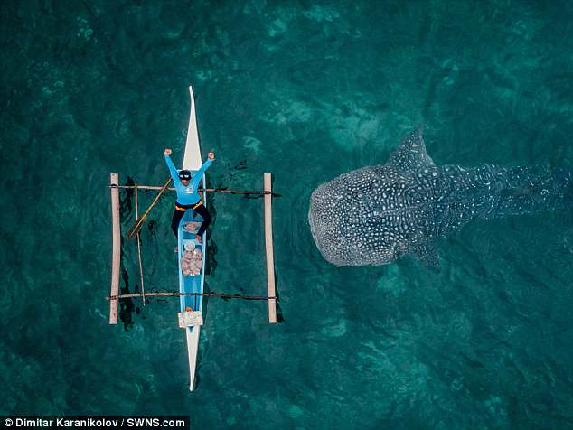 Дейли мейл: Българин засне уникалния момент, в който акула наближи заспал рибар...