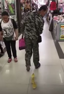 Китаец изведе малките си патенца на разходка в... мола (ВИДЕО)