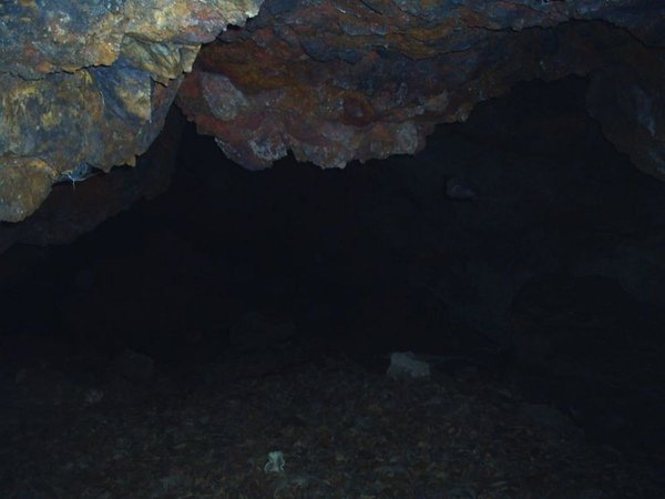 Ричард влезе в пещера в Габон да търси човешки следи, но в мрака видя червени очи на кръвожаден звяр (СНИМКИ)