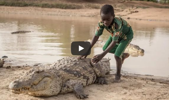 Защо това дете язди крокодил? (ВИДЕО)