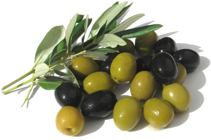 Италиански учени откриха неподозираните ползи от маслиновите листа