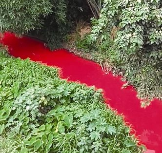 Река в Югозападен Китай почете в кървавочервено, местните са в шок! (ВИДЕО)