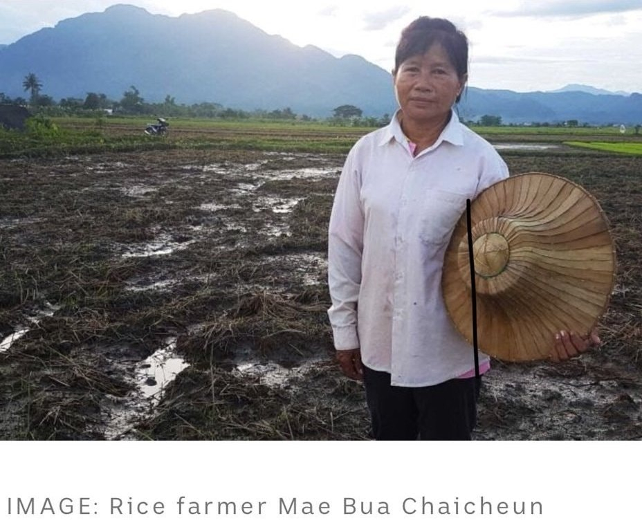 Унищожиха реколтата на фермери в Тайланд, за да спасят децата