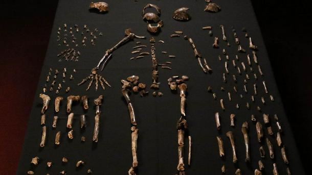 Оръдия на труда доказват, че първите хора може да са живели в Китай