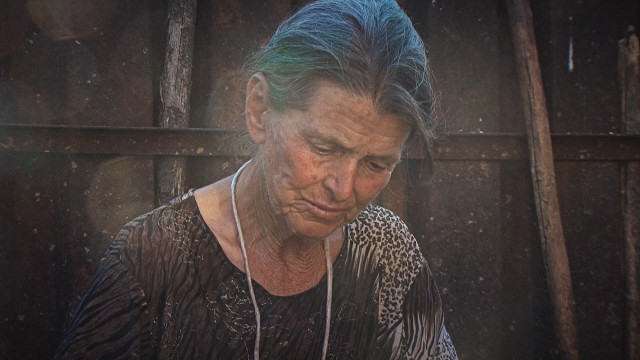 Пощадиха стадото на баба Дора, която разплака България! Министър Порожанов разкри как смята да постъпи с овцевъдите
