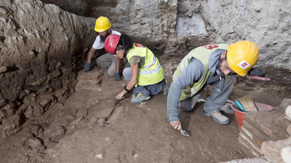 Откриха останки от древен гигантски носорог от доледниковата епоха в Крим