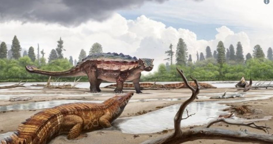 Динозавър с "боздуган" на опашката бродел преди десетки милиони години