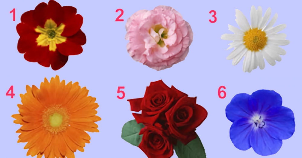 Тест за 1 минута! Избери си цвете и разкрий повече за себе си!