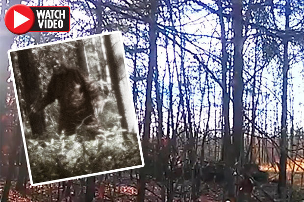 Камера, поставена в гора, засне доказателства за съществуването на Йети (ВИДЕО)