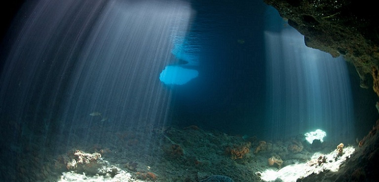 Робот откри на дъното на Тихия океан гигантски следи от двулапо същество (СНИМКИ)