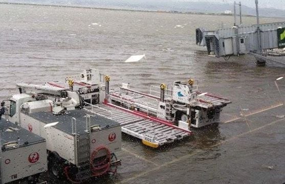 Ужасът в Япония е пълен! Страшилището "Джеби" върлува в страната, расте броят на жертвите (ЗРЕЛИЩНИ СНИМКИ/ВИДЕО)