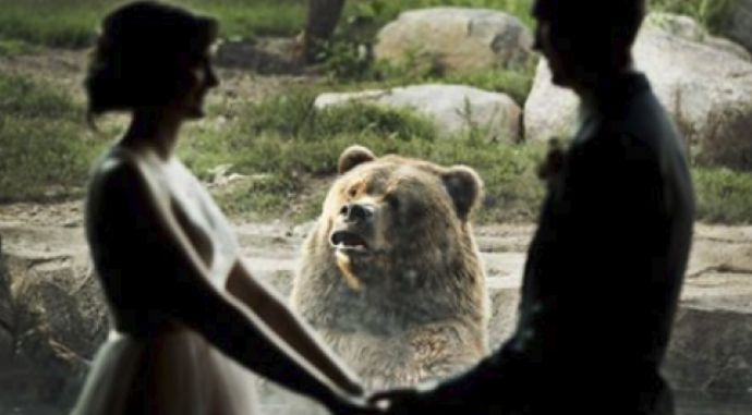  СНИМКА на младоженци на фона на "отхвърлена" мечка се превърна в хит в мрежата 