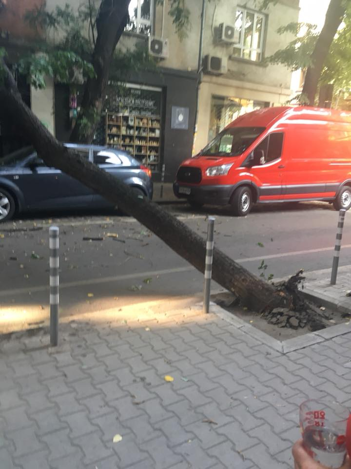 Страшен инцидент на оживена столична улица (СНИМКИ)