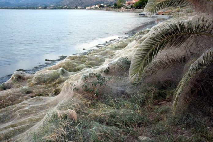 Цяла Гърция потресена от безпрецедентен и странен феномен на прочутия плаж в Етолико (СНИМКА)