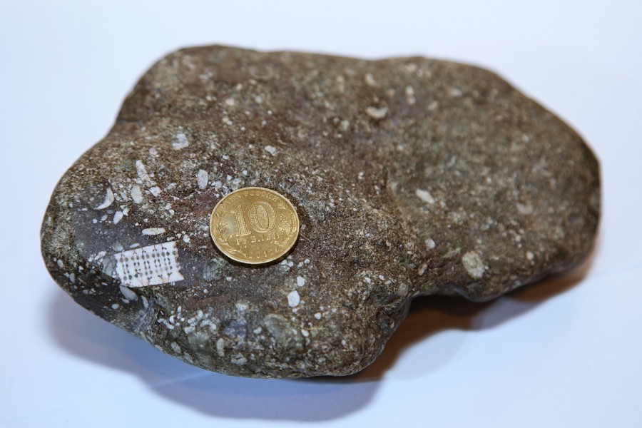 Откриха микрочип на възраст половин милиард години в Кавказ 