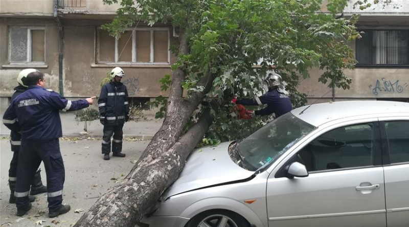 Силният вятър направи огромна поразия във Видин, по чудо се размина без жертви (СНИМКИ)