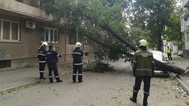 Силният вятър направи огромна поразия във Видин, по чудо се размина без жертви (СНИМКИ)