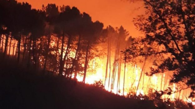 Огромен пожар бушува край Пиза (СНИМКИ/ВИДЕО)