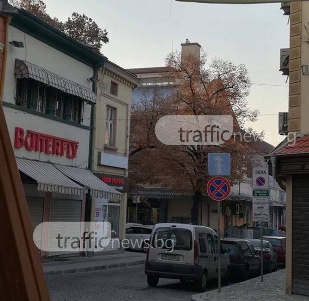 Пловдивчани заснеха смразяваща кръвта сцена на покрива на Халите (СНИМКИ)
