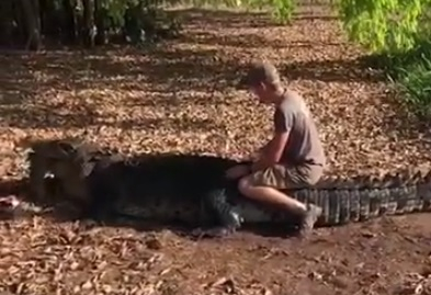 Мрежата изтръпна: Турист язди 5-метров крокодил (ВИДЕО)